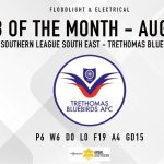 Trethomas Bluebirds FC