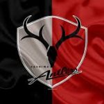 Kashima Antlers FC